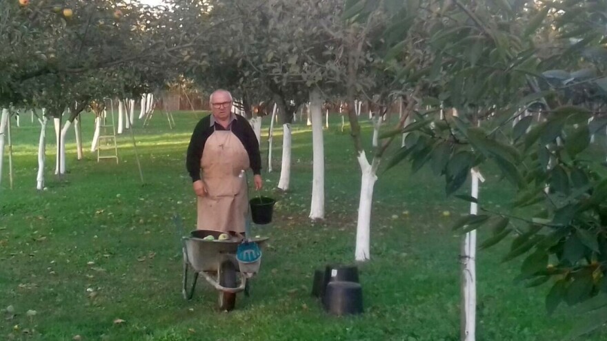 U deset godina spasili od izumiranja 1.400 sorti starih voćaka