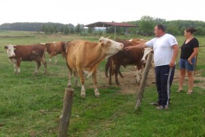 Lijepo je, djeca znaju - povrće ne raste u trgovini