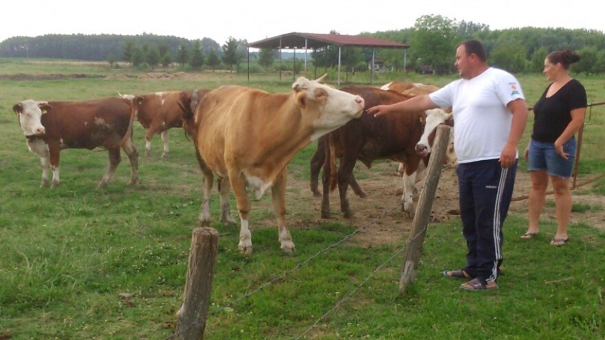 Lijepo je, djeca znaju - povrće ne raste u trgovini