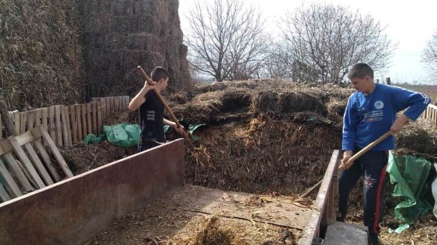 Pavle Avramović od skora punoletan i sa velikim planovima u stočarstvu