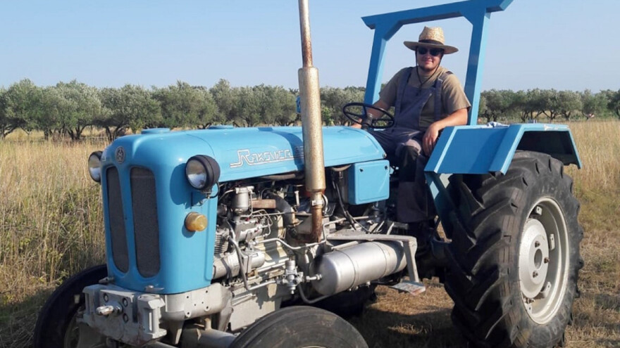 Sušu pobijediti orošavanjem, a maslininu muhu kaolinskom glinom