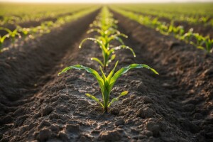 Pažljivo čitaj, odgovori i poklon uz Lumax osvoji!