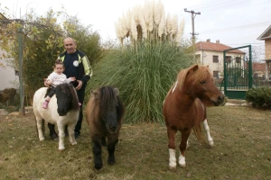 Jedinstven mini zoo vrt kod Jagodine