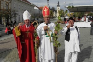 Krštenje daruvarskih mladih vina