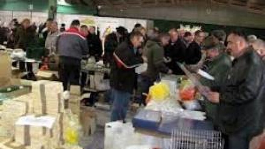 Pčelarstvo u uzletu