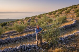 PC "Vinodol" - pokretač ruralnog razvoja