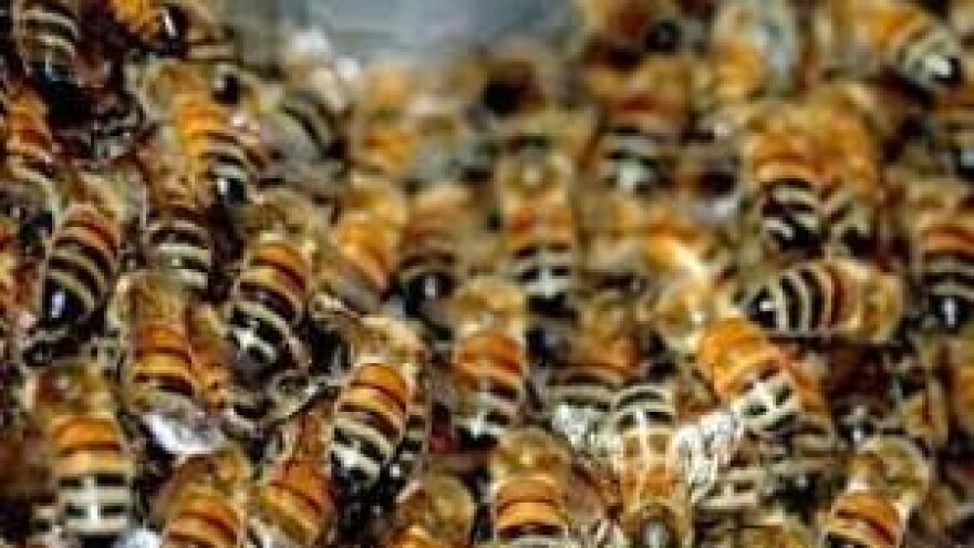 Zimi do novih znanja