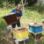 Šefket Ćivić je prvo obnovio pčelinjak pa kuću - do zime proda sav med