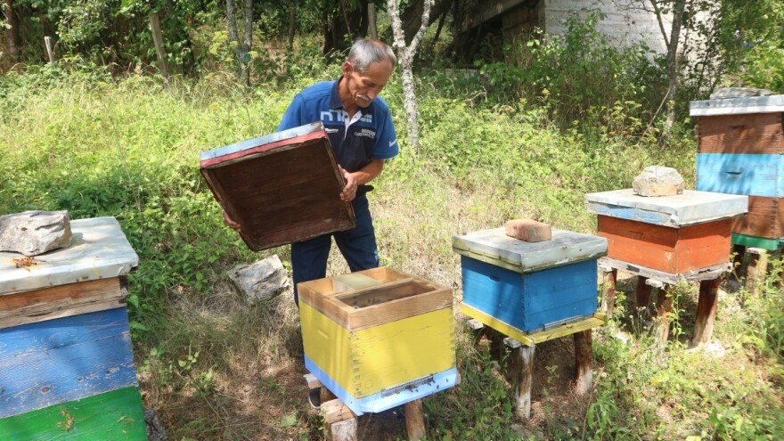 Šefket Ćivić je prvo obnovio pčelinjak pa kuću - do zime proda sav med