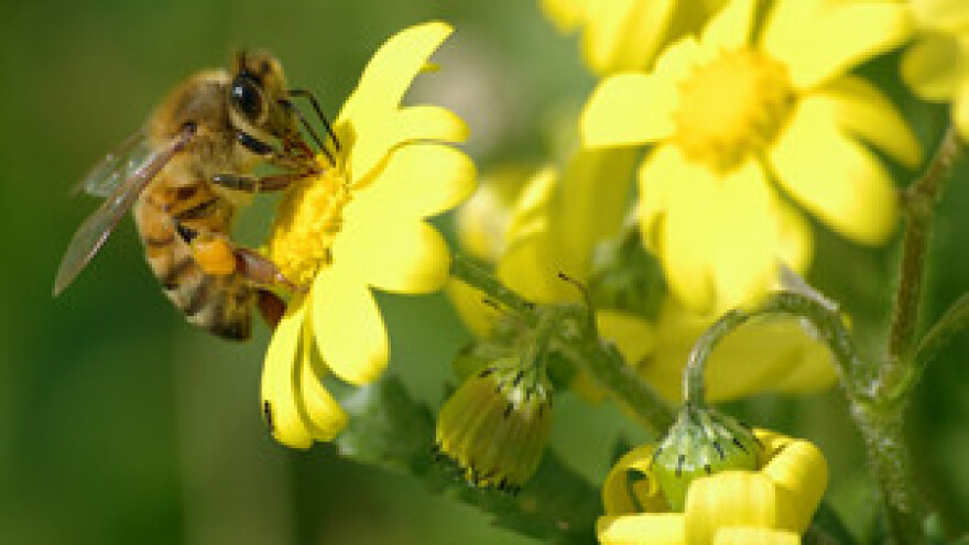 Pčelari zadovoljni sastankom s Čobankovićem