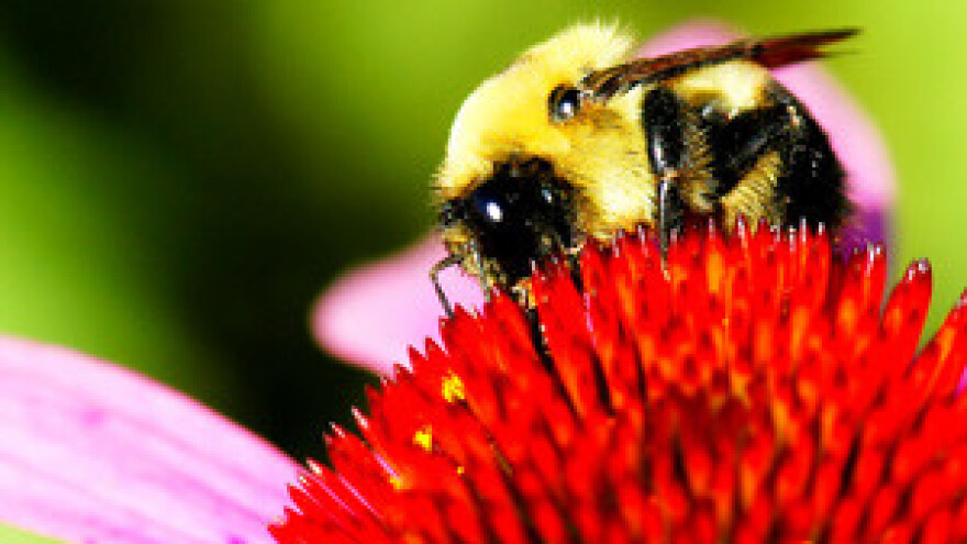 Pčelarska izložba u Karlovcu