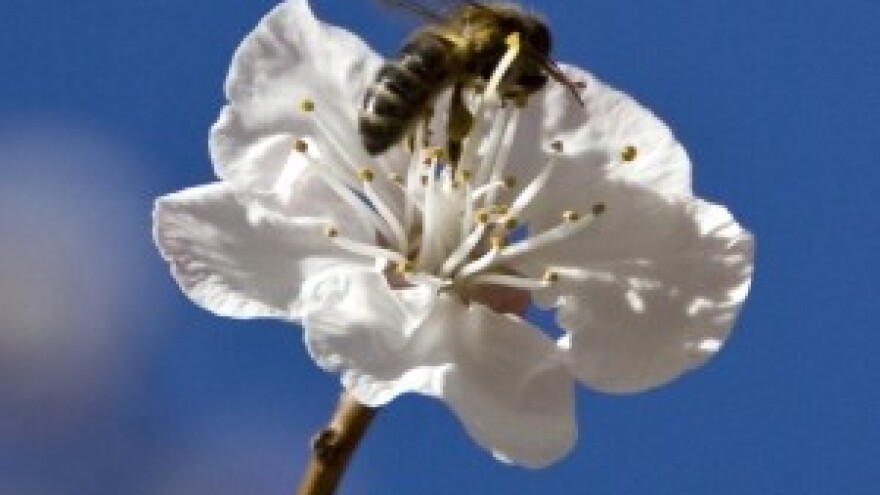 Ulaskom Hrvatske u EU nema meda - bez diplome