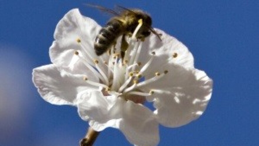 U Europu može putovati samo "Hrvatski proizvod"