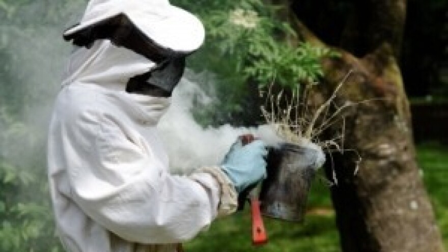 Pčelarsko znanje ne poznaje granice!