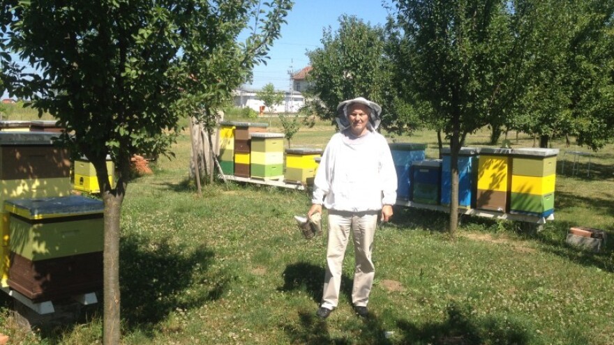 Iz policije ravno u pčelinjak!