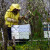 Radovi u pčelinjaku tokom maja