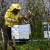 Radovi u pčelinjaku tijekom svibnja
