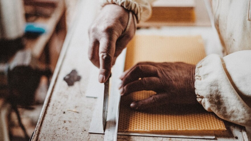 Osma Nacionalna konferencija o sigurnosti i kakvoći pčelinjih proizvoda