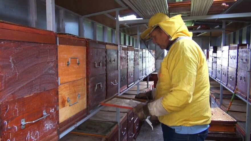 Erich Rudolf: U Austriji pola kilograma meda košta sedam, a kilogram 12 eura