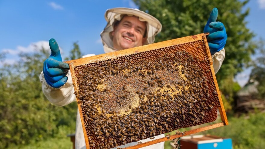 Prijavite se na tečaj za pčelara - prijašnje pčelarsko iskustvo nije bitno!