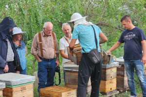 Na šestom pčelarskom sajmu jugoistočnog Balkana stručno predavanje održaće britanski pčelar
