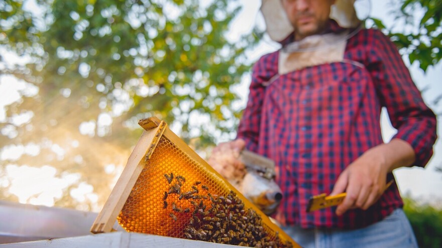 Kako sprečiti bolest na vreme i kako država pomaže u tome?