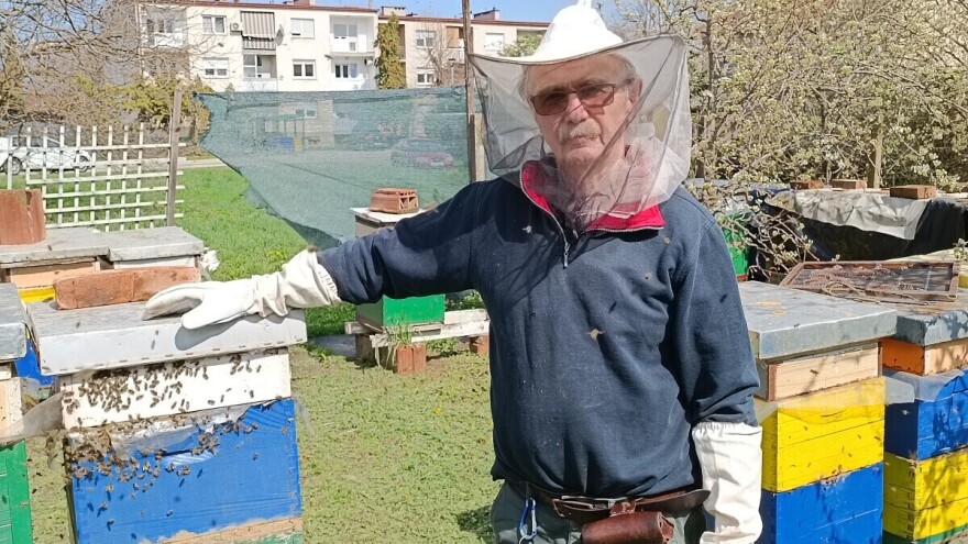 I pčelari strahuju od hladne fronte, Damir Sertić: Jedno bi bilo najgori scenarij