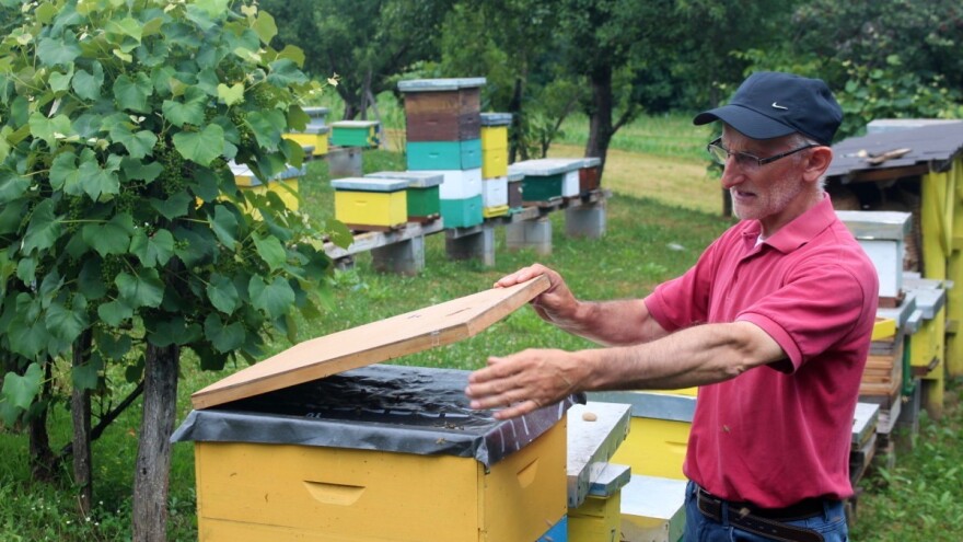 Kažu ako nije nacionalna staklenka - nije hrvatski med, a ta uniformiranost ubija kreaciju