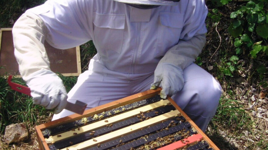 Edukacija za bjelovarsko-bilogorske pčelare