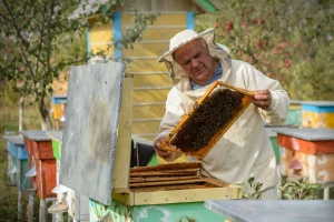 EU je drugi najveći proizvođač meda u svijetu