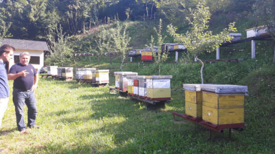 Što uradiš u augustu - vidjet ćeš u maju!