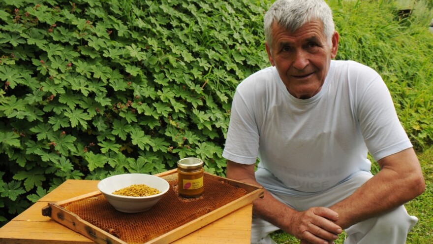 Iskusni pčelar Koldžić: perga je najsavršeniji i najzdraviji pčelinji proizvod