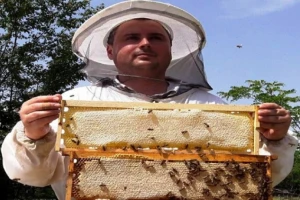 Pčelar najlepše zanimanje