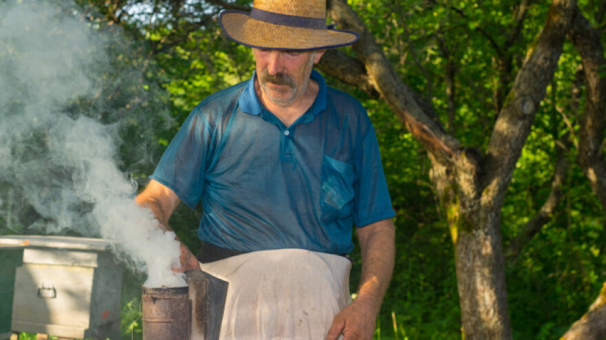 Odluka je na pčelaru - želi li rojenje ili med