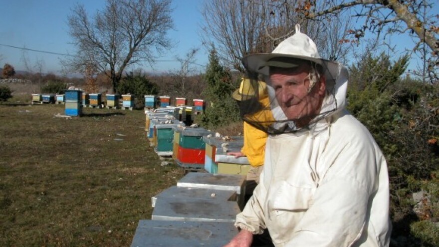 Tri naraštaja pčelara u obitelji Čokolić