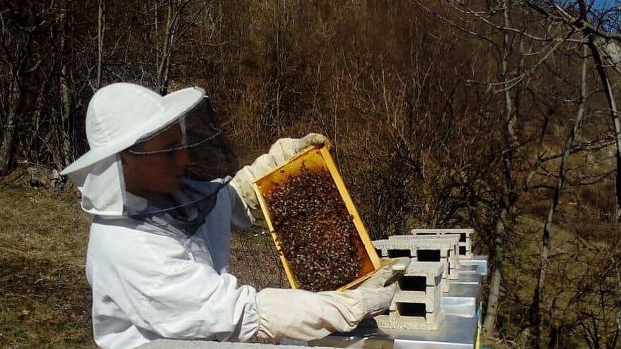 Darko Ocokoljić sa 17 godina ima isto toliko košnica