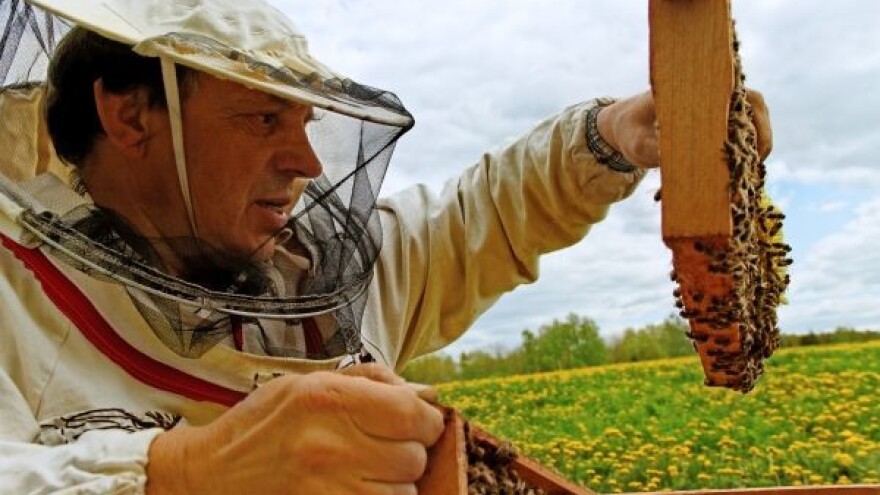 Amitraz dodati na listu dozvoljenih sredstava!