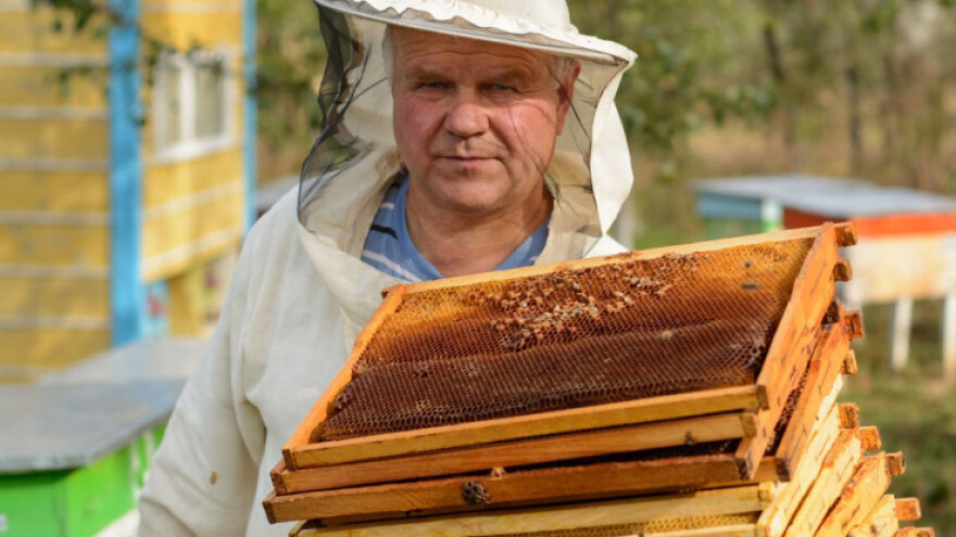 Za konkurentnost pčelara 51,6 milijuna kuna