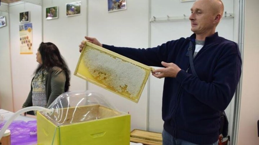 Većina pčelara interes nalazi u razvojnoj Mjeri 6