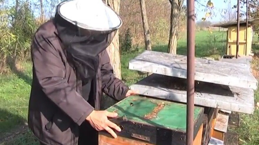 Propolis u zaštiti biljaka