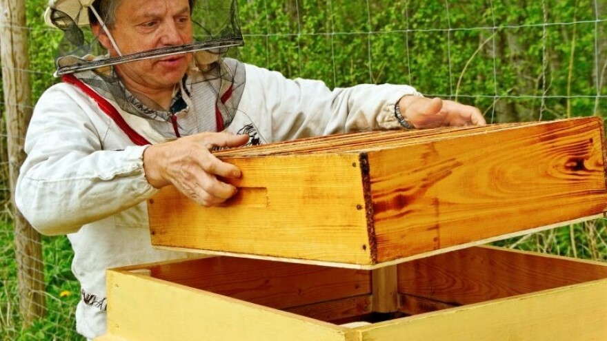 Vibracijama do stanja u košnici!