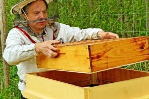 Vibracijama do provjere stanja u košnici!