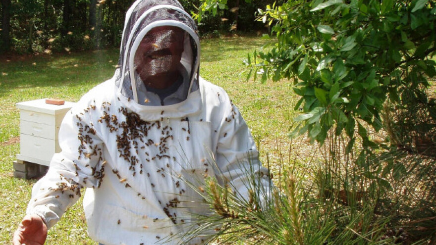 Podijelio 50 tona jabuka pa postao pčelar!