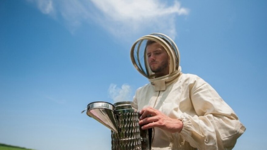 Pčelinjim otrovom do zdravlja i dodatnih prihoda