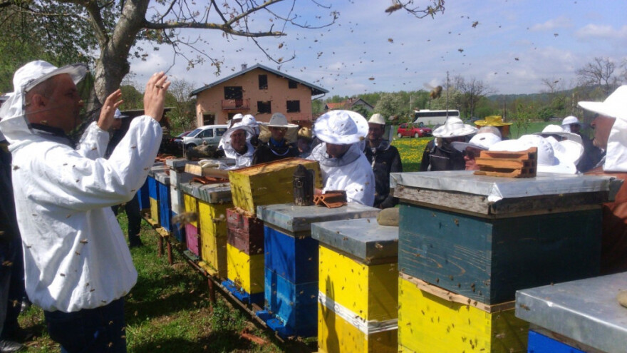 Ističe rok potražiteljima potpora pčelarenju!