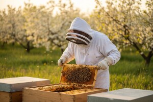 Pčelarenje u Mađarskoj