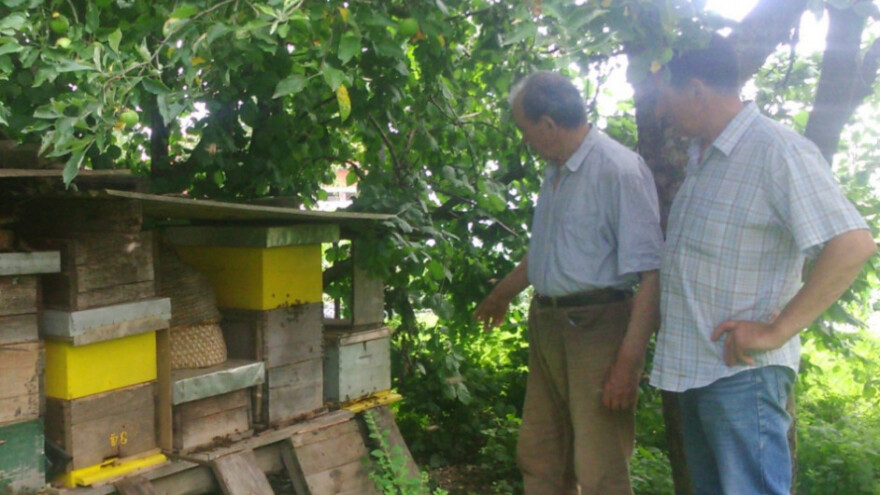 Zlatošipka dobro rodila - pčelari ne očekuju puno