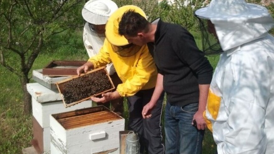 Uslijed čestih kiša - košnice gotovo prazne