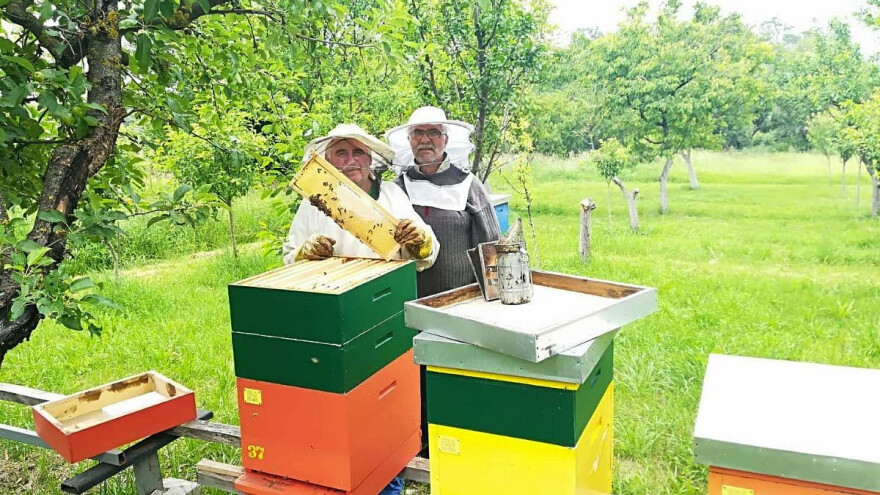 U čemu je važnost edukacije pčelara?