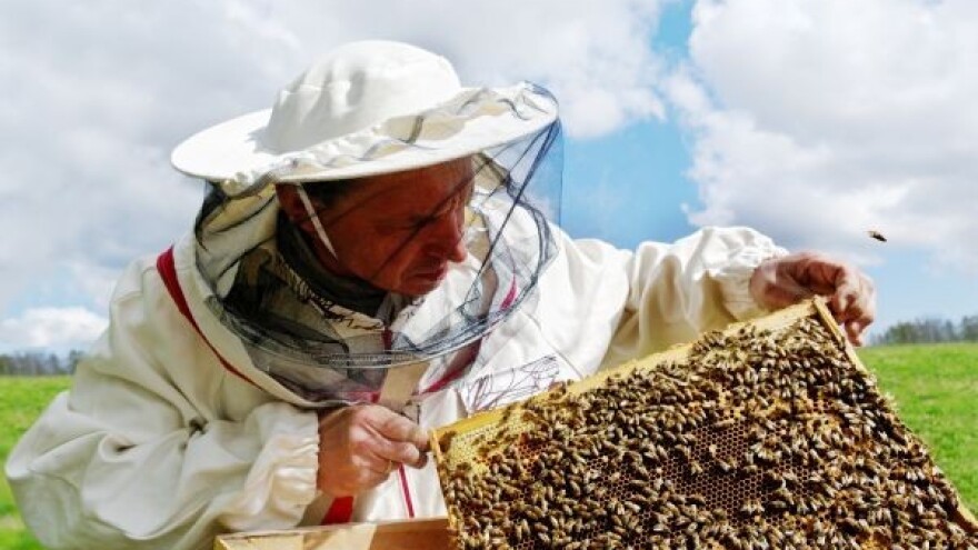 Zbog Neumskog koridora pčelari u problemu!